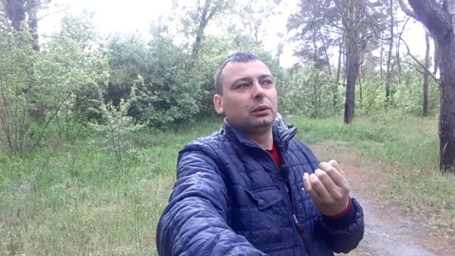 Ролик для VIP/ Как работают алгоритмы YouTube/Почему не растет канал смотреть онлайн