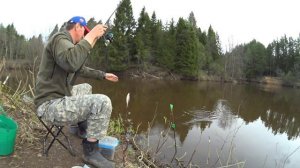 Ловля плотвы на фидер.