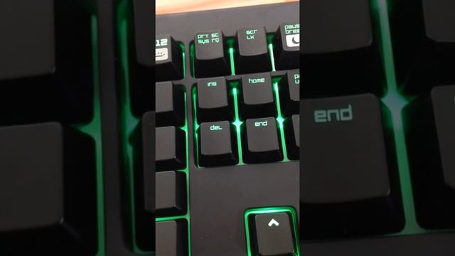 Razer chroma led problem