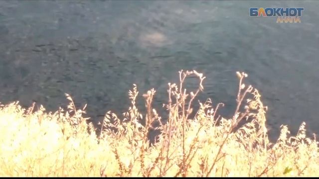 В Анапе в море прорвало трубу смотреть онлайн