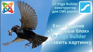 Как вставлять картинки в аддоне «Текстовый блок» SP Page Builder и работа в медиа менеджерах Joomla.