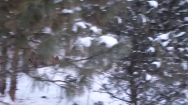 СуперГорка в Мысках. смотреть онлайн