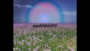 сборник песен ssshhhiiittt!