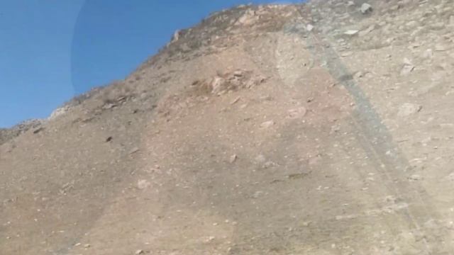 Достопримечательности Чуйского тракта. Автопутешествие по Алтаю с котом. #чуйскийтракт #алтай #кот