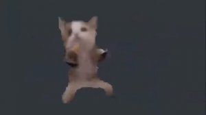 Кот танцует под веселую музыку 1 час (шни шна шнапи)