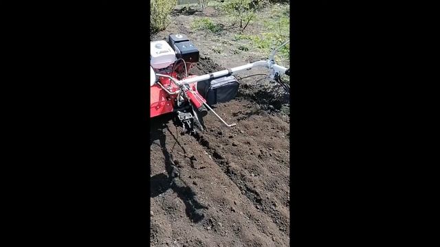 Тихо фрезами шурша, едет Брайтик не спеша. смотреть онлайн