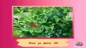 Чарадейки Witch видео игра PC - фотографируем животных, рыб, растение.