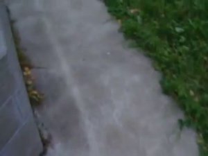 Отмостка вокруг дома. Прошло 2 года и никаких трещин!