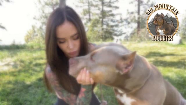 Meet the pups! | JESSICA WILDE смотреть онлайн