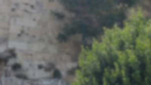 Вокруг стен Иерусалима. Часть 1/От Сионских ворот до Яфских