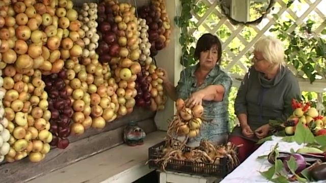 Дачные советы 08.09.16. Вяжем луковые косы смотреть онлайн