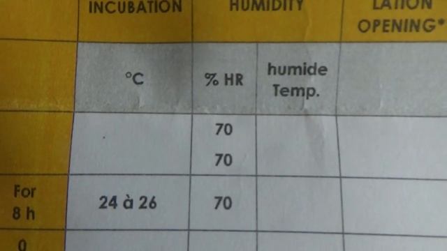 Инкубация МУСКУСНОЙ УТКИ ИНКУБАЦИЯ Индоуток Мой первый опыт смотреть онлайн