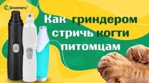 Как гриндером стричь когти питомцам, как он помогает в стрижке и груминге | обзор моделей GRODO