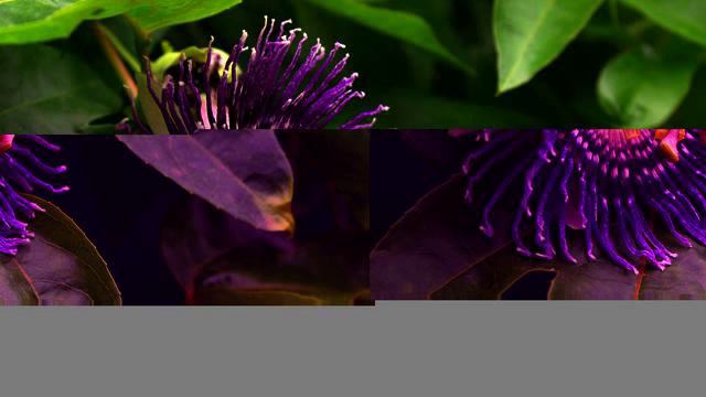 Слушать новую музыку для авто онлайн смотреть онлайн