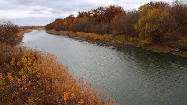Исток реки Воронеж у села Новоникольское Мичуринского района смотреть онлайн
