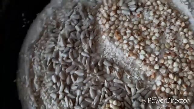 Хлеб на хмелевой закваске - пшеничный с амарантом, и гречневый