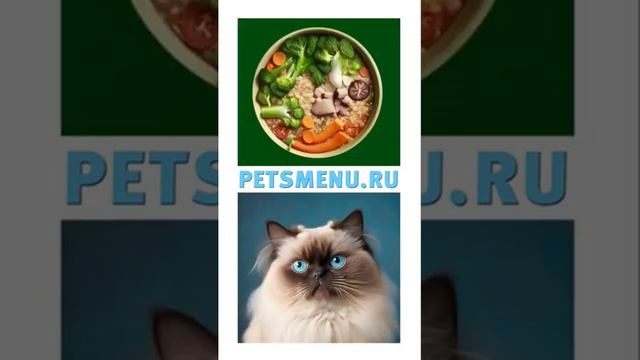 Популярный стендап-комик - @vova_solodkov в коротком скетче о ресторане для животных ПЭТСменю.