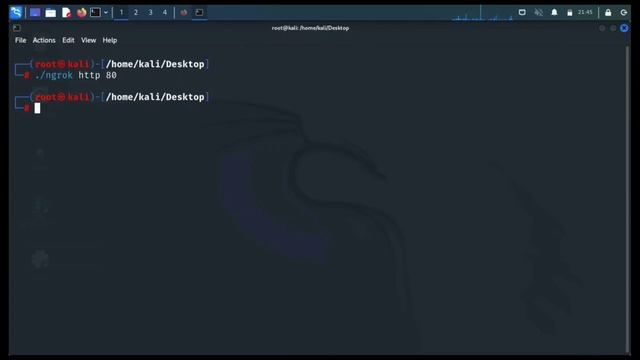 how to fix 502 bad gateway ngrok error|fix all ngrok error| #ngrok #kalilinux @easy_life476 смотреть онлайн