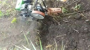 Мб1 с фрезой 120см. Правильная культивация, борьба с камышом и советский мотоблок