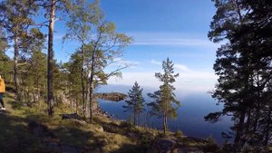 Дворовая песня.. ИВОЛГА 70е годы.