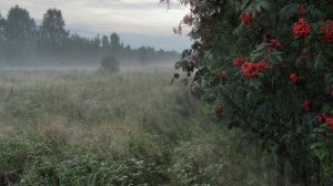 ПРОЩАЙ, ЛЕТО! стихи Евгении Гутенёвой