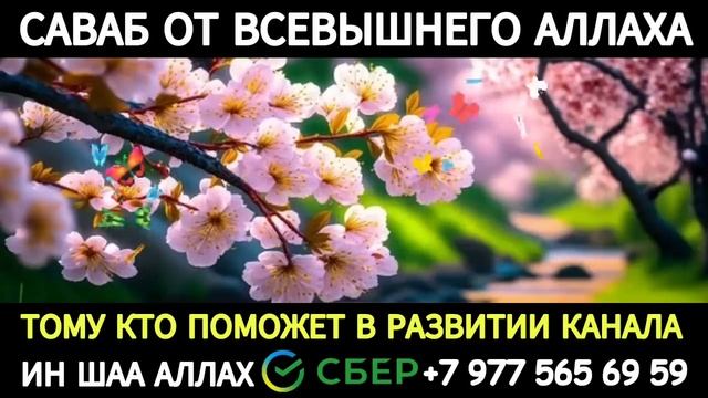 Сильное Дуа | на каждый день смотреть онлайн