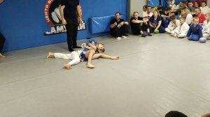 соревнования по самбо