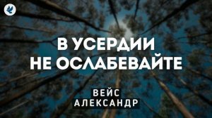 В усердии не ослабевайте. Вейс А.И. Проповедь МСЦ ЕХБ