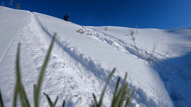 Улетел в овраг !!! ПОЕЗДКА в Тайгу на Тайге 500 и Ski-doo nordic 600!!!! смотреть онлайн