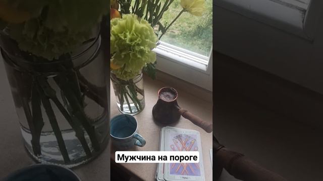 #таро с котиками. Которые даже рычали. Мужчина🔥