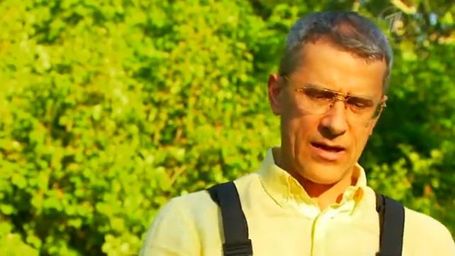 Как выбрать кусторез. Медицинские рекомендации смотреть онлайн