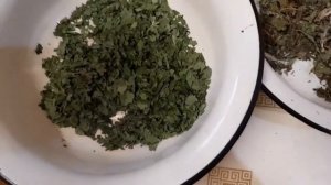 Листья смородины и мяты для чая.