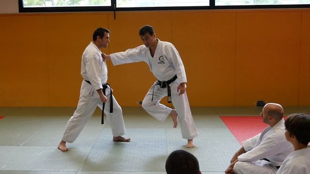 2 Karate Basics - Shotokan Seminar in Grenoble SKAI FranceAkitas Karate Video