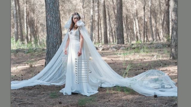 Ajuste de revelado con Photoshop CS6 y NIK Software. смотреть онлайн