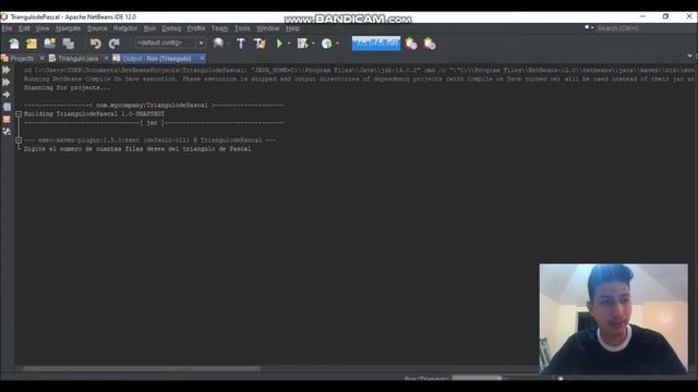 PROGRAMACION EN JAVA | TRIANGULO DE PASCAL Y SUS APLICACIONES смотреть онлайн