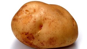 Нелепые предметы найденные в заднем проходе/Топ безумных вещей извлеченных проктологами.