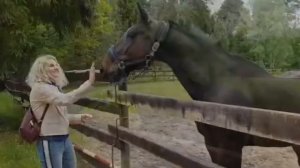 Санаторий Сосновый Бор г. Казань...наши выходные удались...на все...???...
Хотите продолжение?...