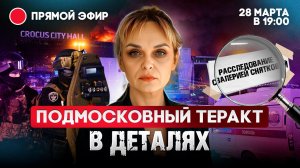 Подмосковный теракт в деталях