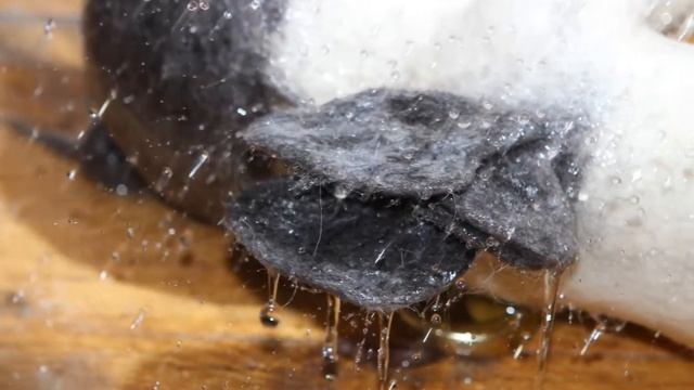 Весна. Вода. Рождение смотреть онлайн