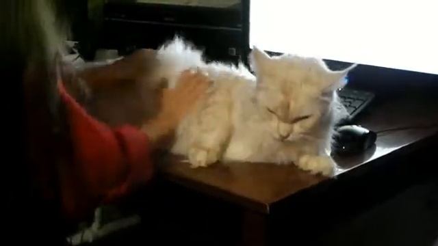 Нас снимали скрытой камерой, Лирикум смотреть онлайн