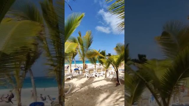 Доминикана сейчас! Зима 2022 в районе Пунта-Кана. Пляж Баваро.  Карибское море. #shorts