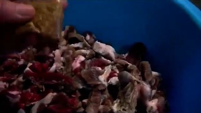 Как я готовлю вяленое мясо козлёнка