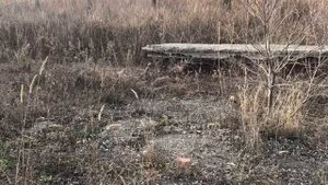 В/Ч 52619 117 МСП, бывший 13 укрепленный район В/Ч 22205