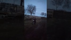 головень на мичке