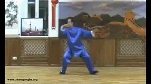 24 формы стиля Ян  Тайцзицюань