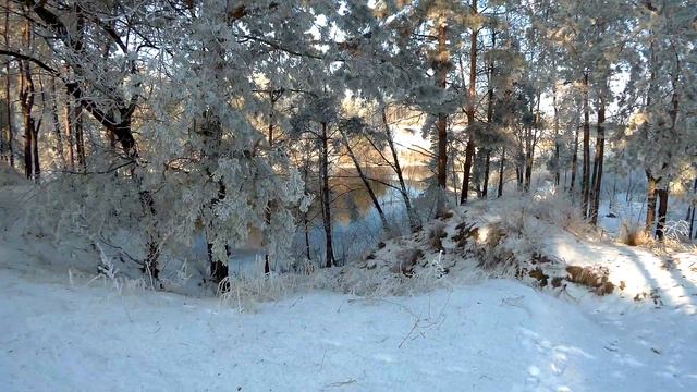 крещение лес река смотреть онлайн