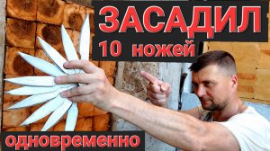 Засадил 10 ножей одновременно !