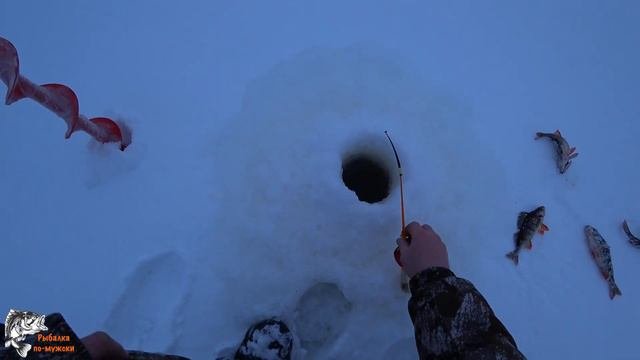 Щука на жерлицу/Таёжное озеро.