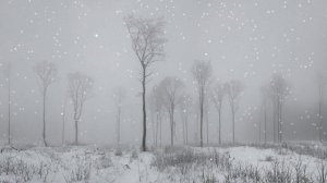 Футаж. Зимний пейзаж 104