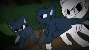 Коты воители  Echo :)